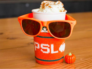 It’s Fall Y’all: Decoding How Companies Brand a Season