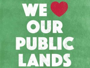 The President Stole Your Land (But Not Your PR)