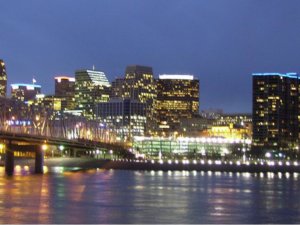 The Job Search from Afar