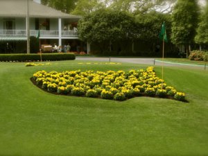 The Masters: A Brand Unlike Any Other