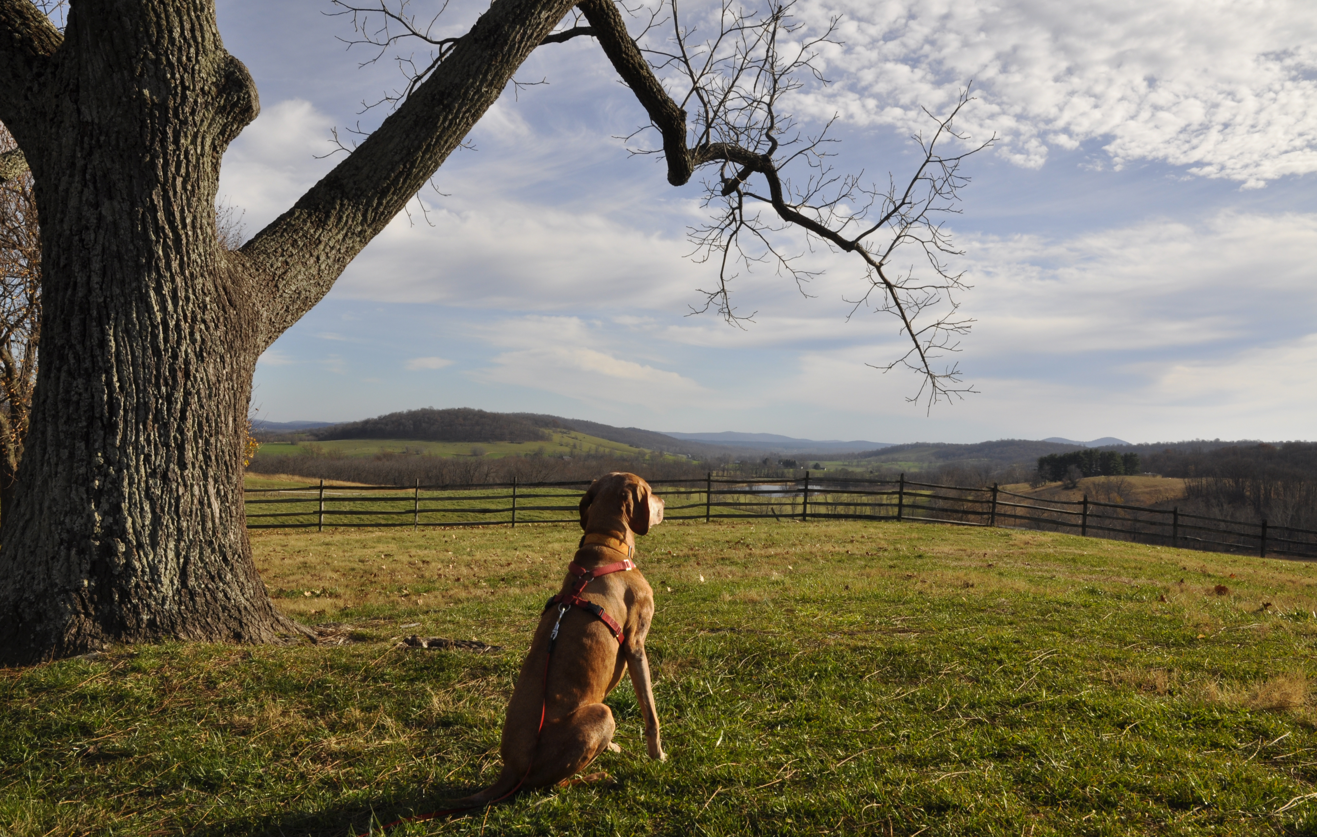 Photo by Virigina State Parks. Black Friday #OptOutside Photo Challenge winner 2015