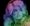 Here She Comes Again: The Dolly Parton Renaissance