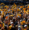 Terrible Towels to Game Day Shakers: Fans Build Brands