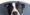 The Art and Strategy of Nonprofit Communications Campaigns