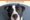 The Art and Strategy of Nonprofit Communications Campaigns