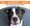 The Art and Strategy of Nonprofit Communications Campaigns