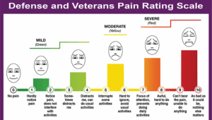 Defense and Veterans Pain Rating Scale